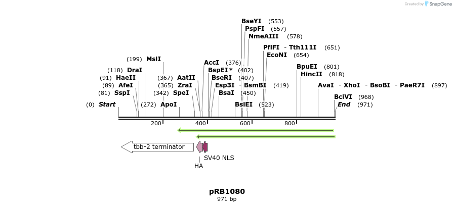 132561_map
