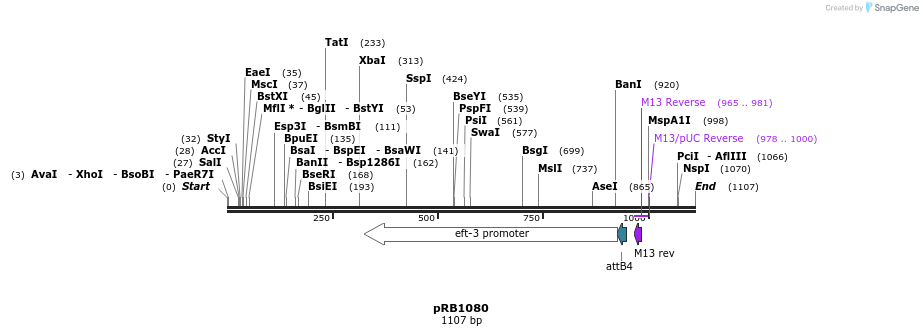 132562_map