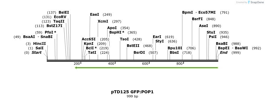 132564_map