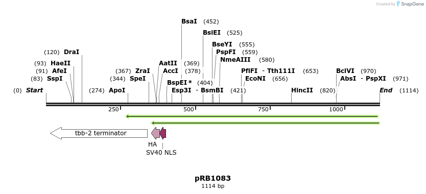 132569_map