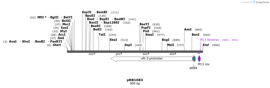 132570_map