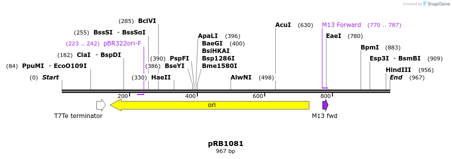 132571_map