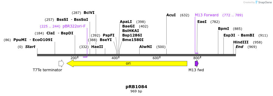 132574_map