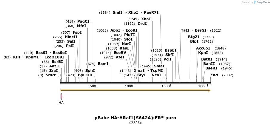 132583_map