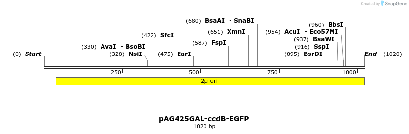 132588_map