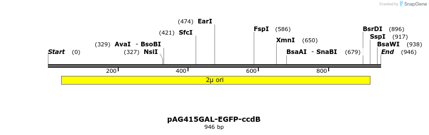 132592_map