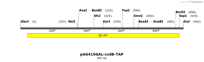 132593_map