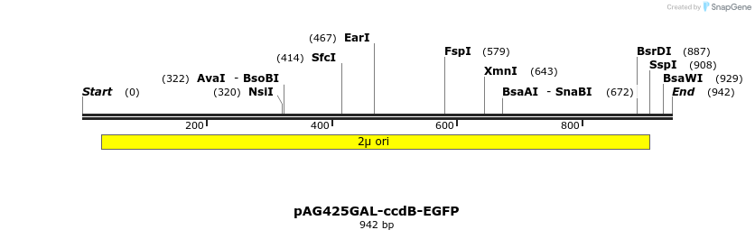132594_map