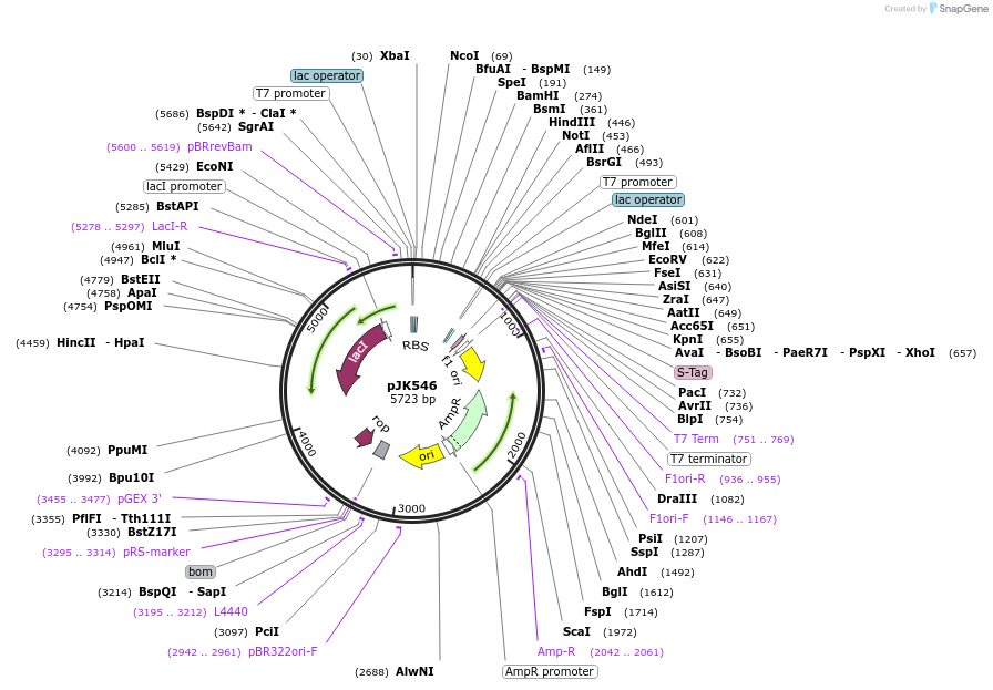 132601_map