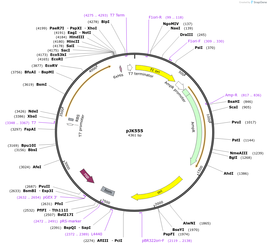 132606_map