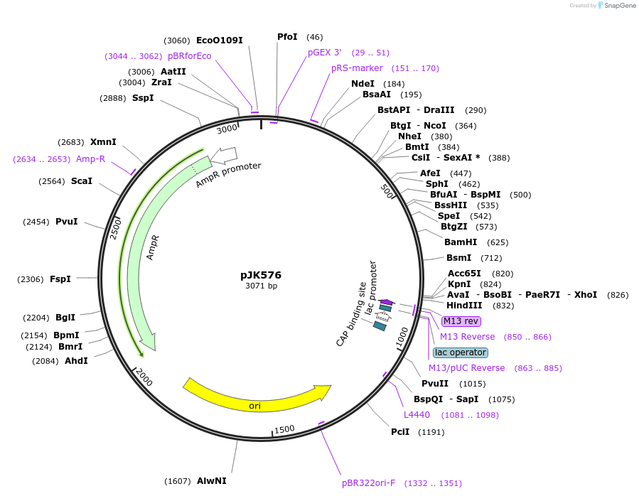 72527-plasmid-map-sequence-id-132615