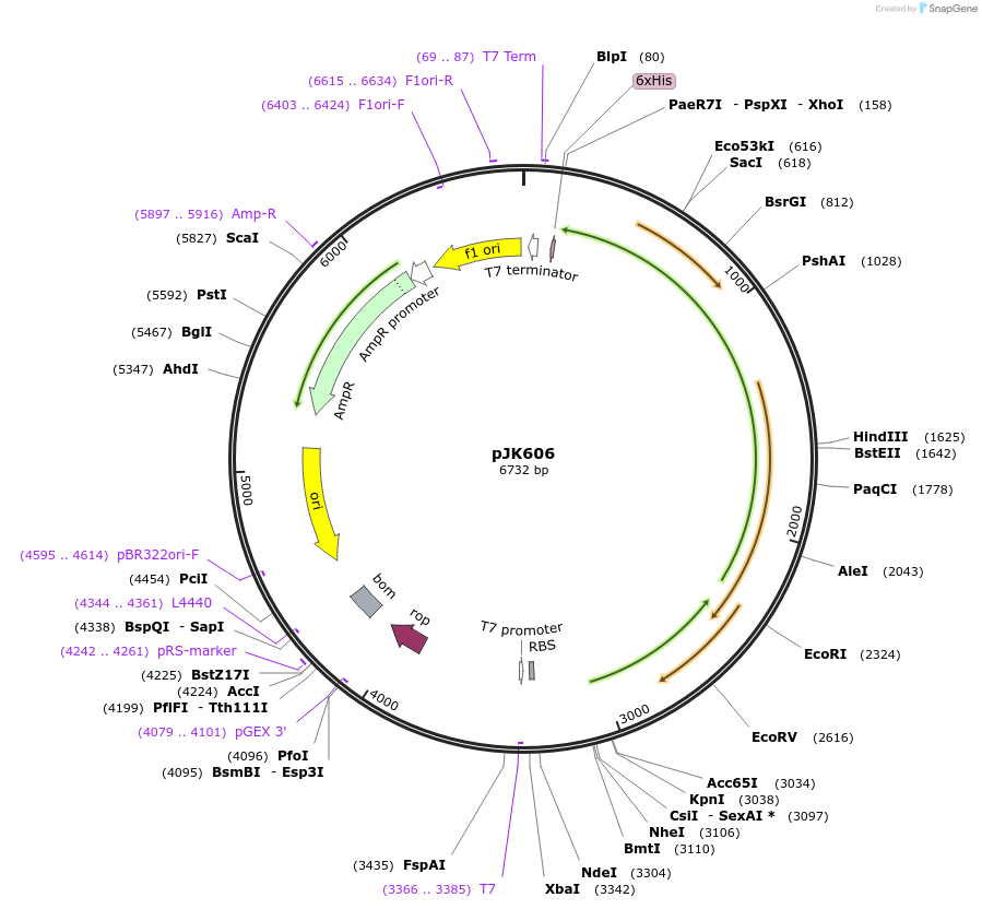132617_map