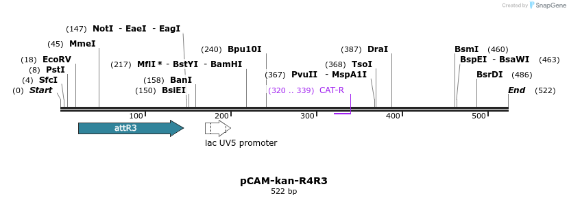 132641_map
