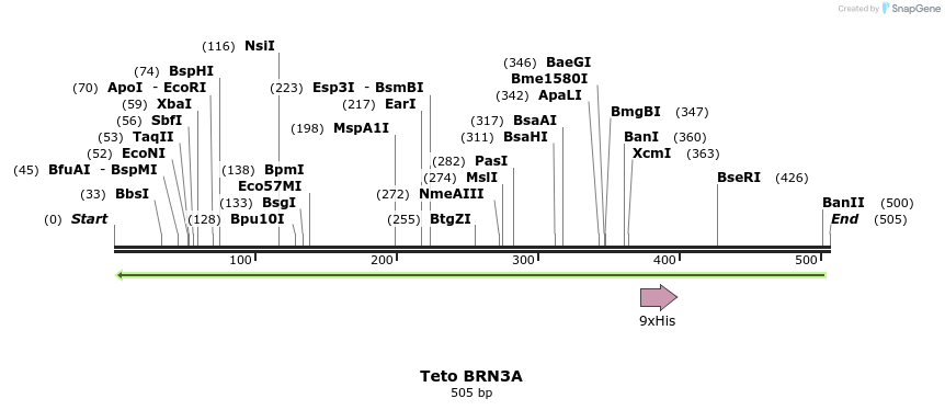 132643_map