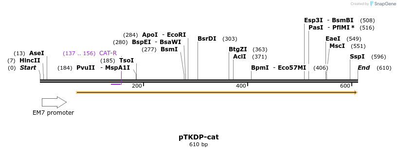 132647_map
