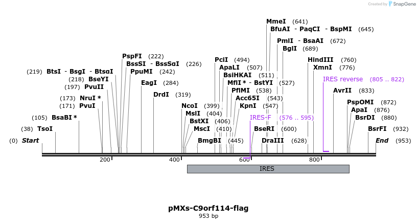 132650_map