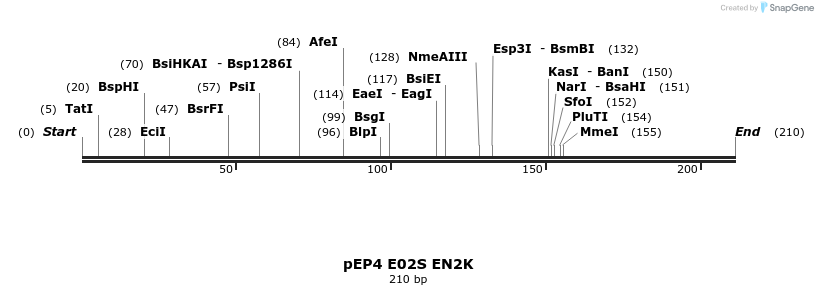 132655_map