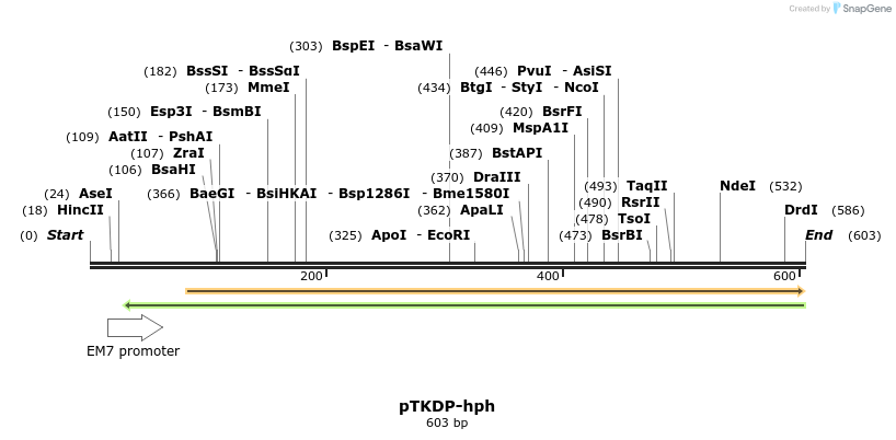 132659_map