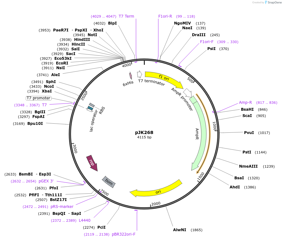 132660_map