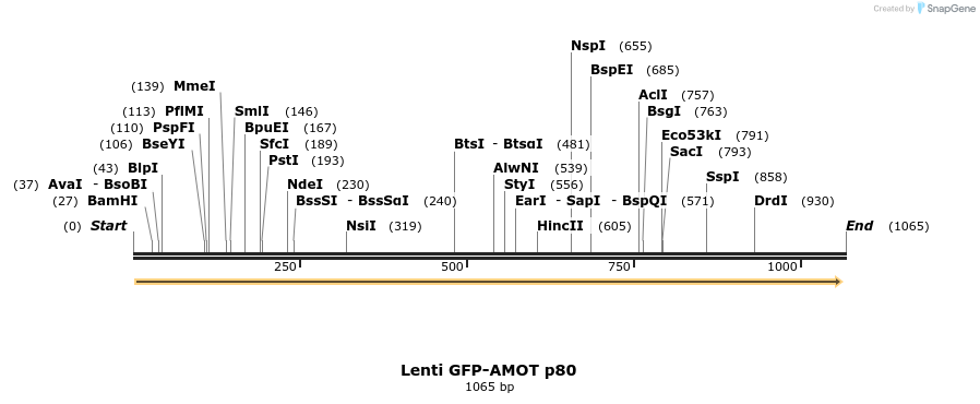 132663_map