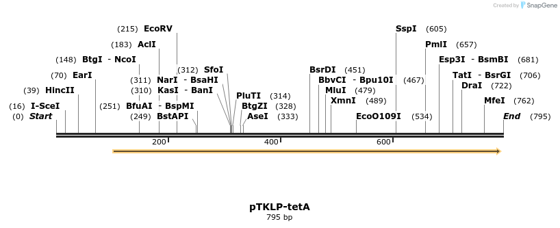 132665_map