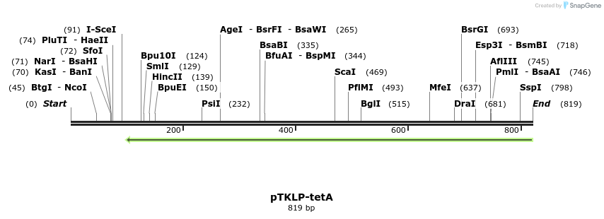 132667_map
