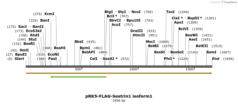 132670_map
