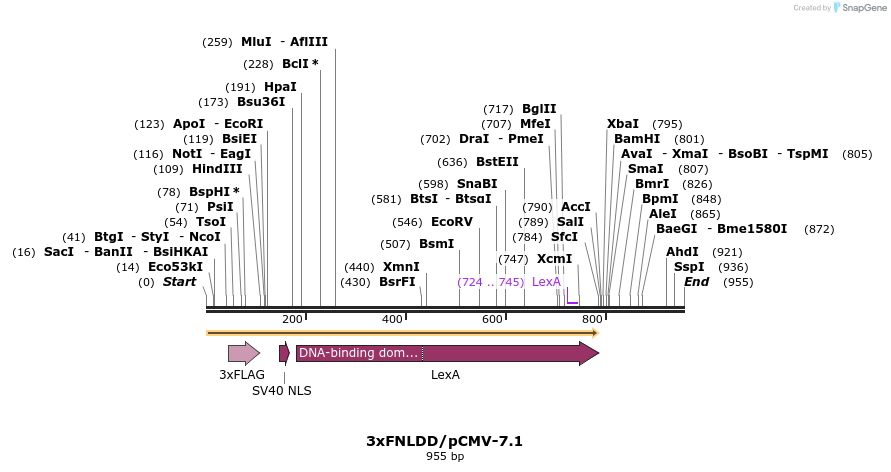 132673_map