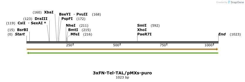 132679_map