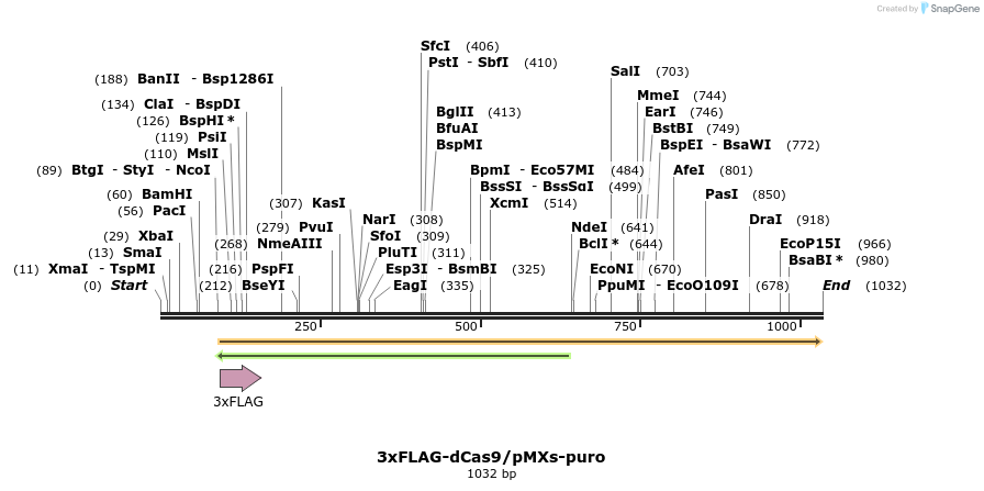 132680_map