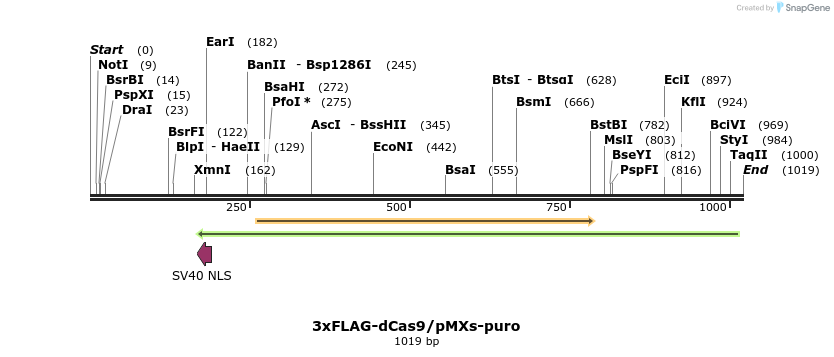 132681_map
