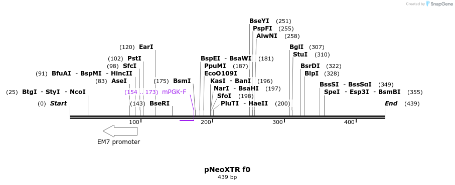 132687_map