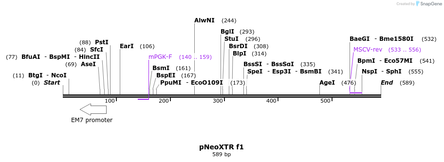 132691_map