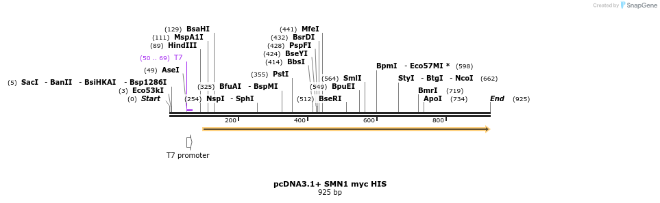 132706_map