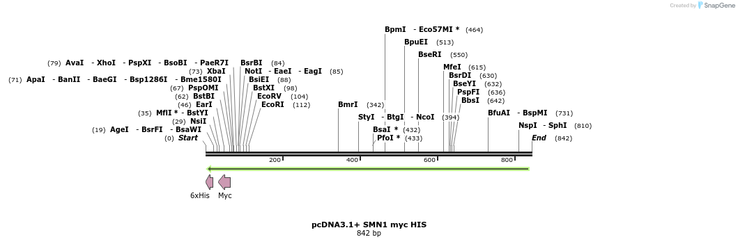 132707_map