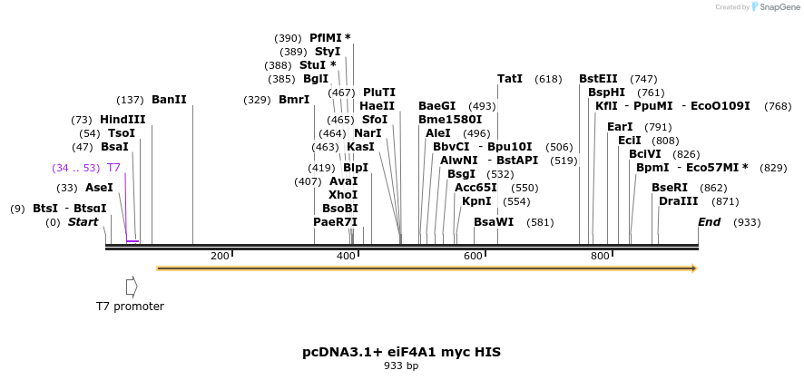 132708_map