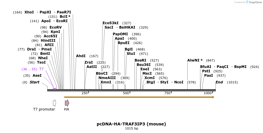 132711_map