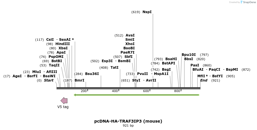 132712_map