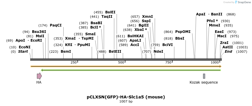 132715_map