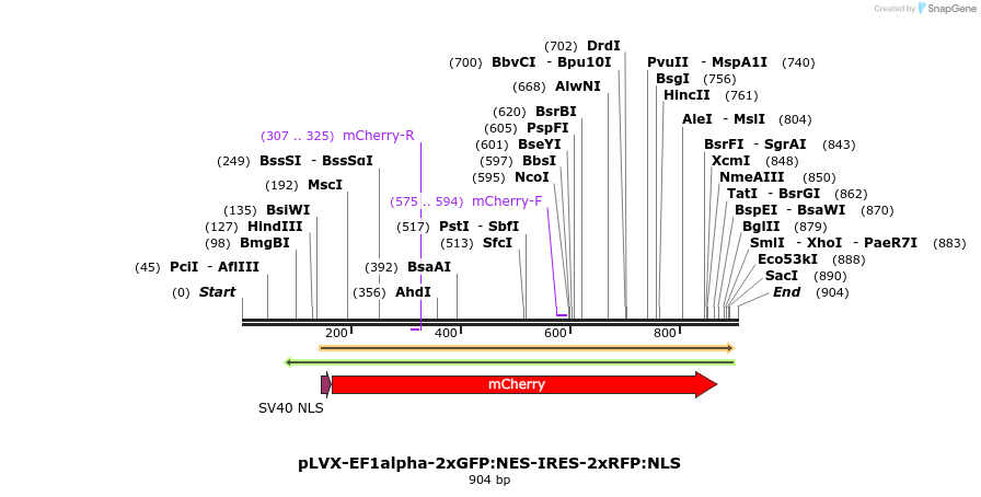 132735_map