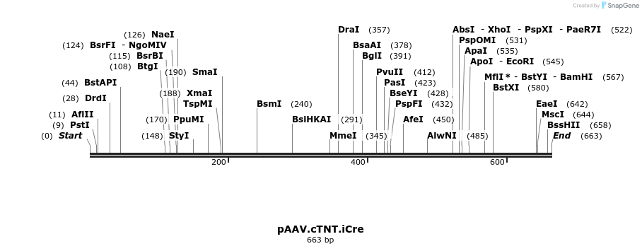 132748_map