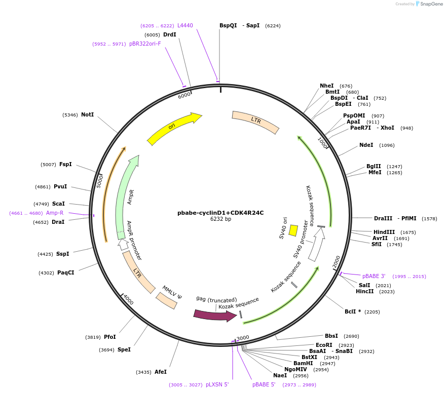 132756_map