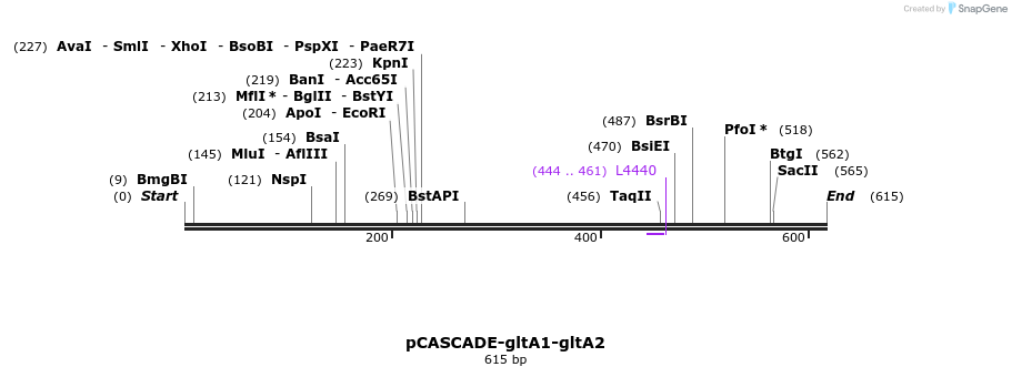 132771_map