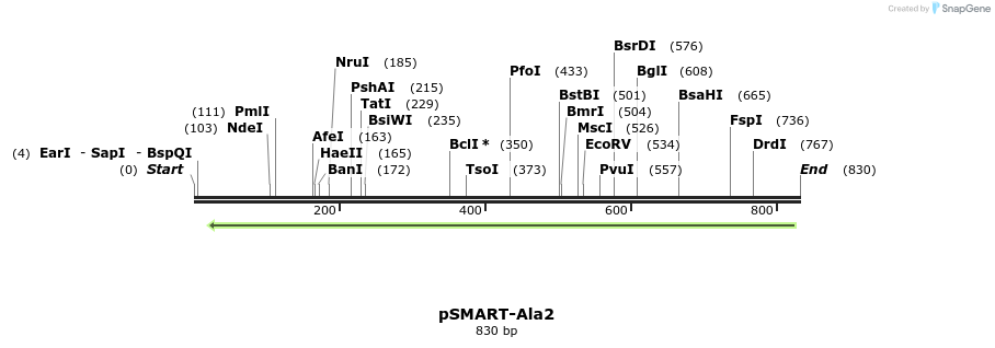 132779_map