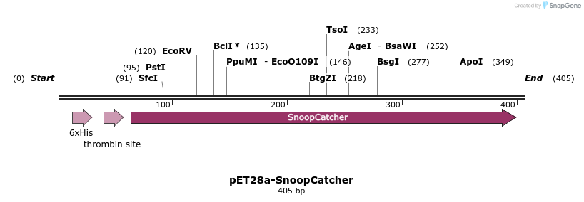 132789_map