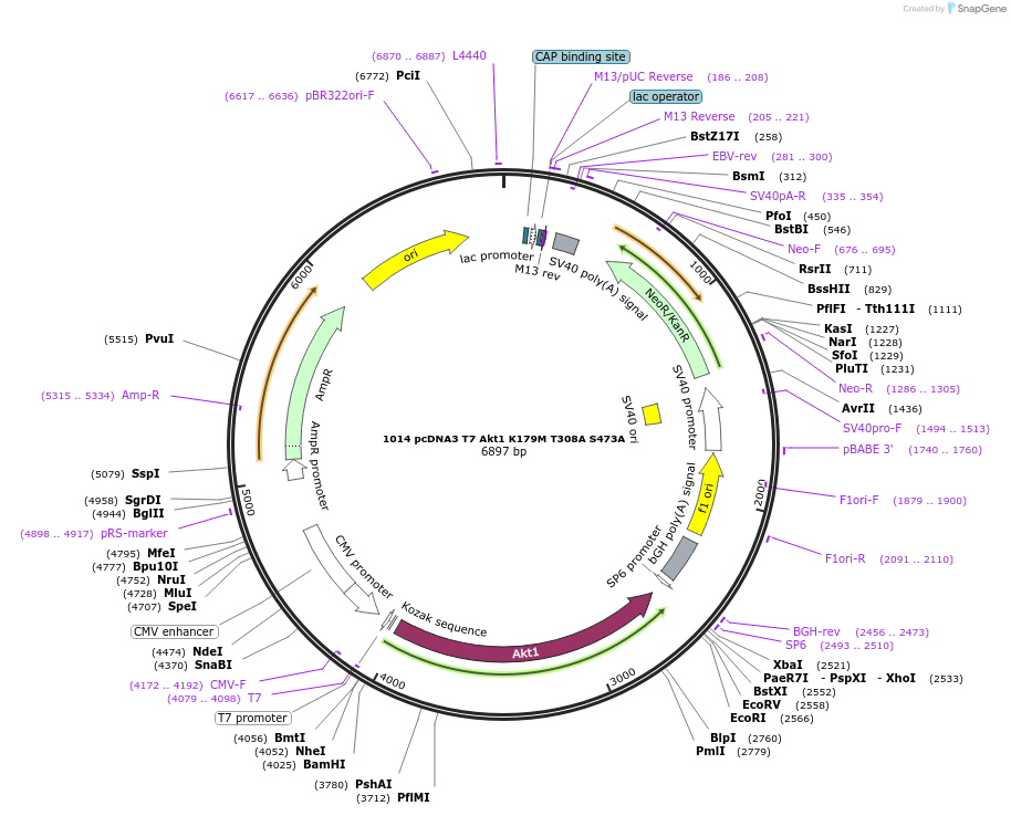 132808_map