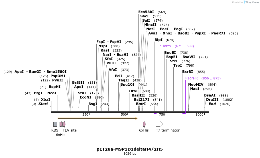 132812_map