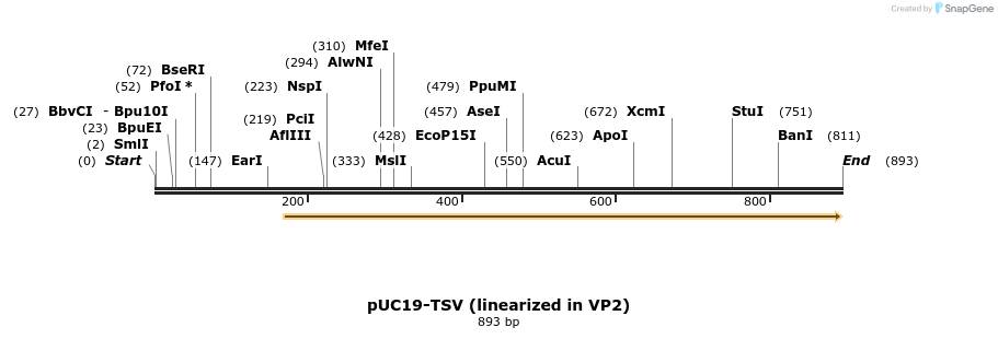 132815_map