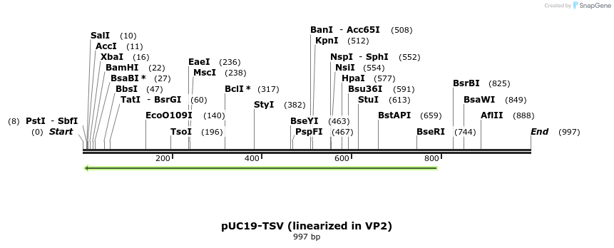 132816_map