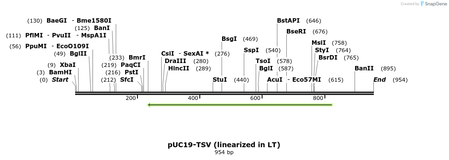 132819_map